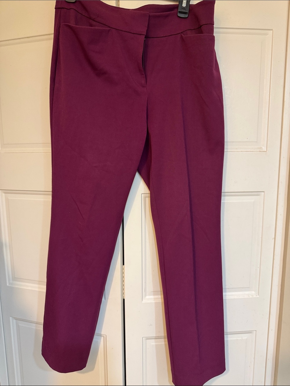 Ann Taylor Women’s Wine Purple Tailored Ponte Pants